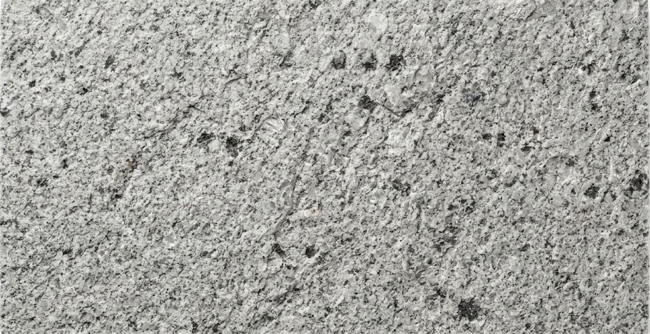 Alvand Silver Granite Paver